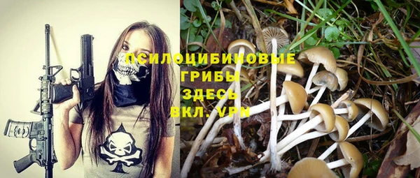 ПСИЛОЦИБИНОВЫЕ ГРИБЫ Алексеевка