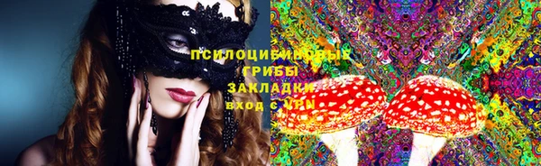 ПСИЛОЦИБИНОВЫЕ ГРИБЫ Алексеевка
