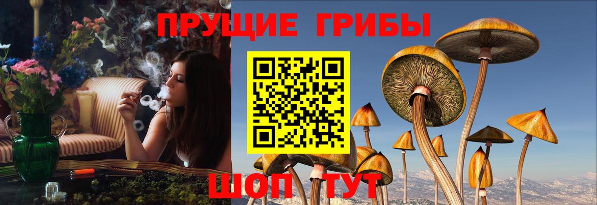 Салават  Галлюциногенные грибы Magic Shrooms  Вход с VPN  Галлюциногенные грибы мицелий 